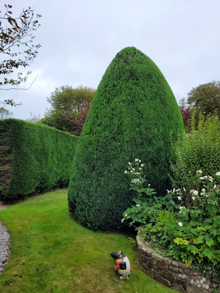 landscaping in Truro