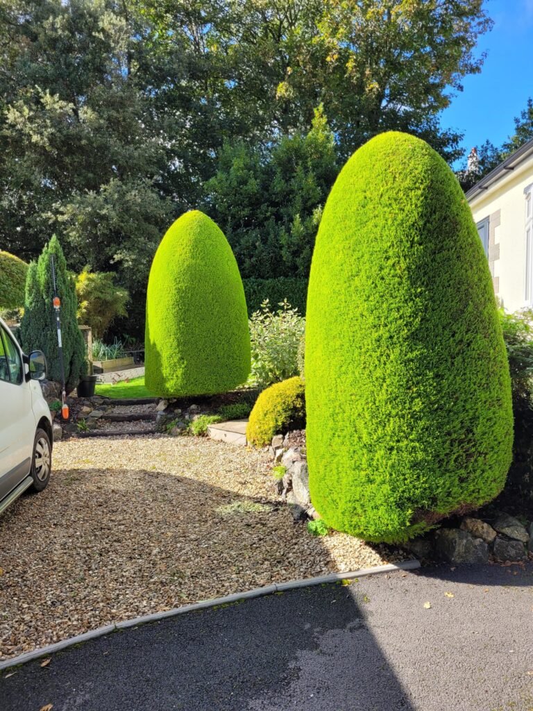 Garden Maintenance in Truro