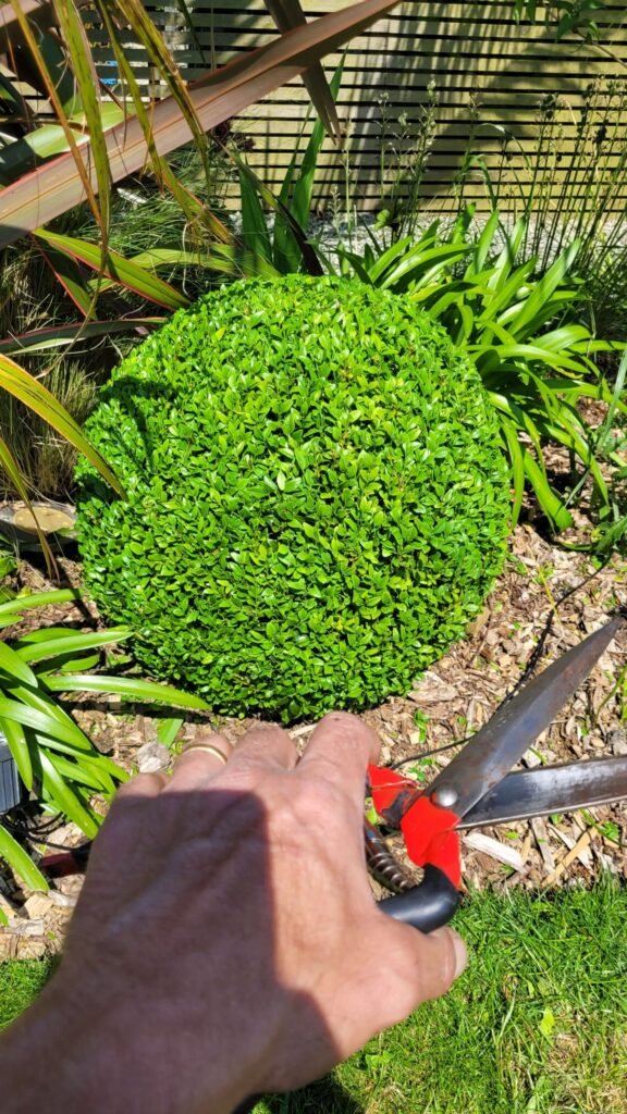 Garden Maintenance in Truro