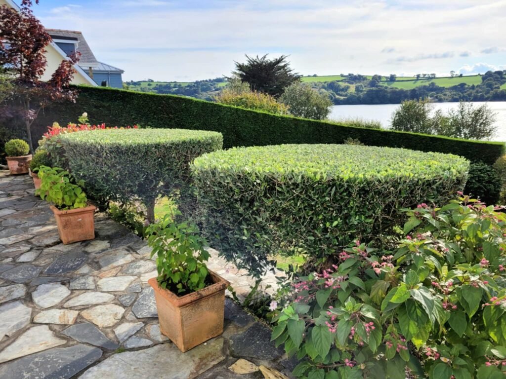 Hedge Cutting Services in Cornwall