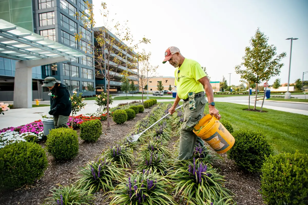 Commercial garden maintenance in Cornwall