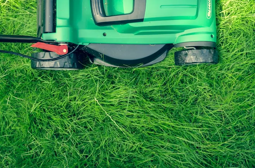 Lawn Care in Cornwall