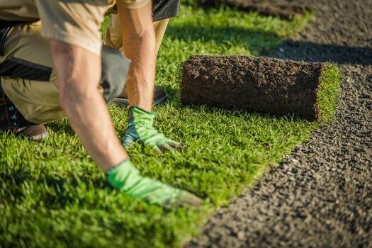 Turf Laying Newquay