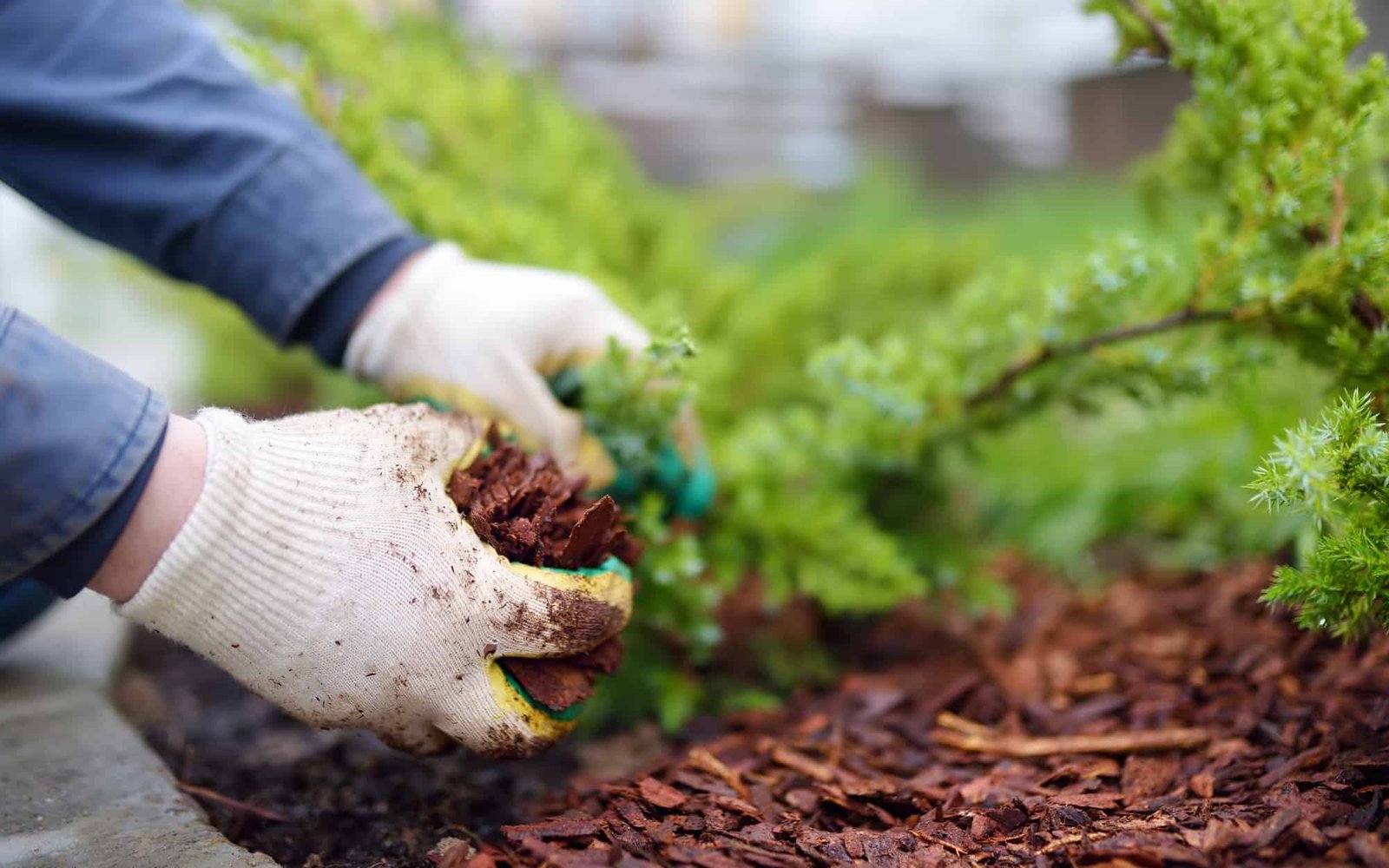 Garden Maintenance St Austell