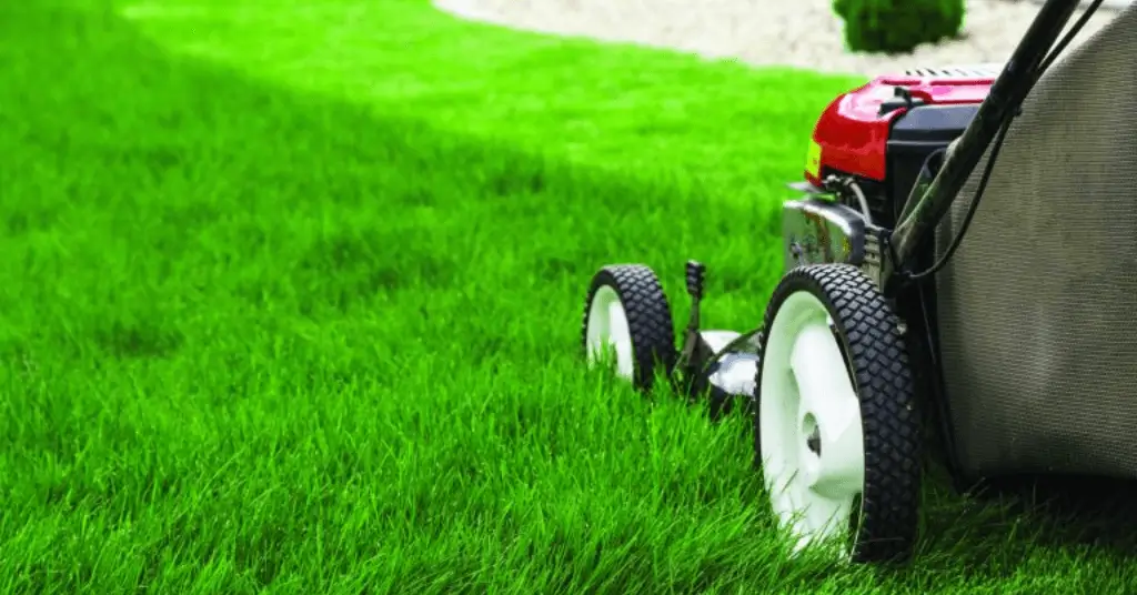 Regular Garden Maintenance Cornwall