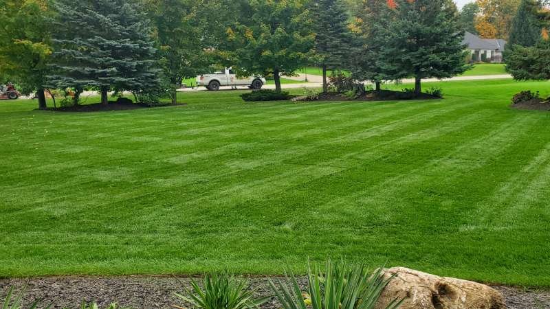 Lawn Installation Cornwall