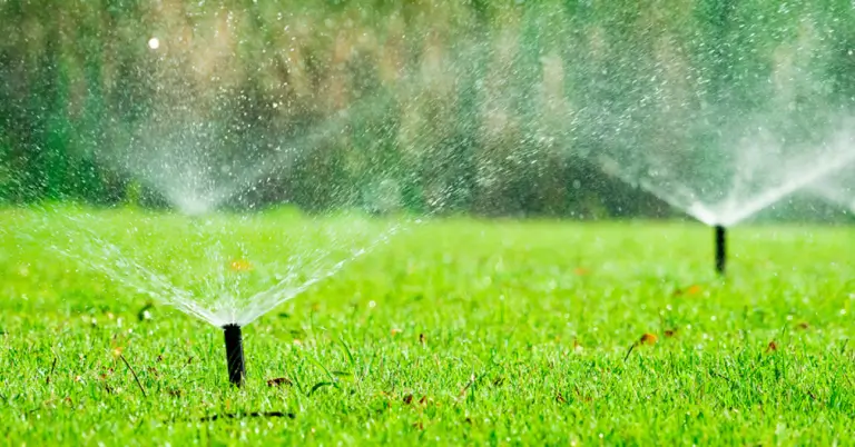 Lawn Installation Cornwall