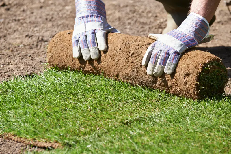Turf Laying Newquay