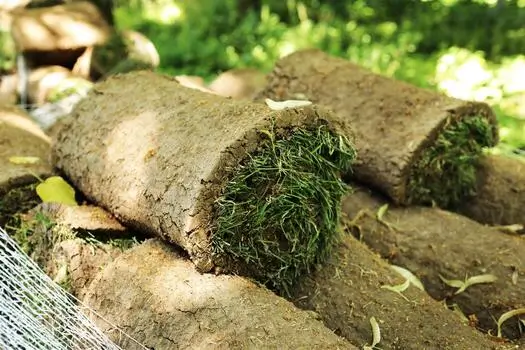 Turf Laying Falmouth