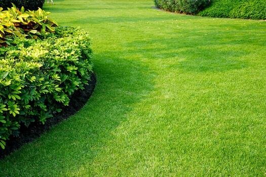 Regular Garden Maintenance Cornwall