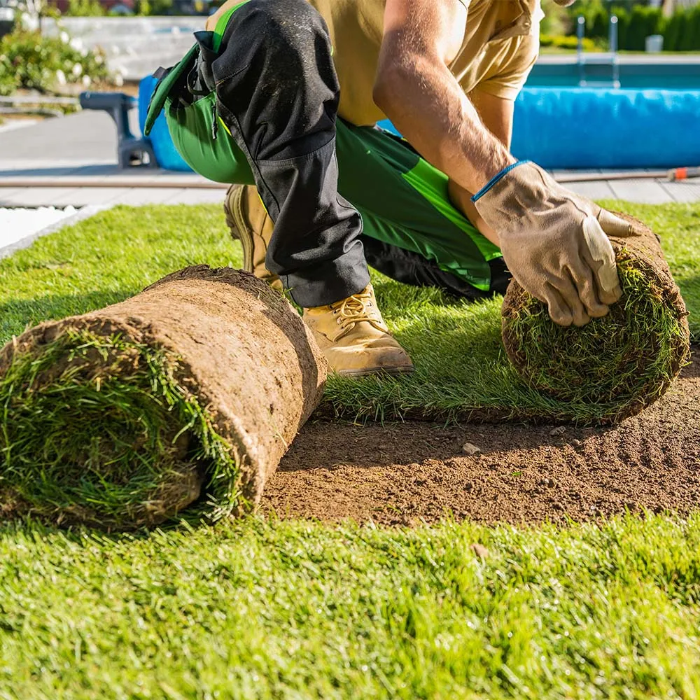 Turf Laying Falmouth