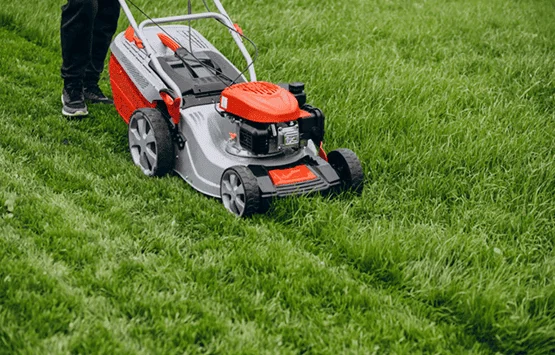 Lawn Mowing Services Cornwall
