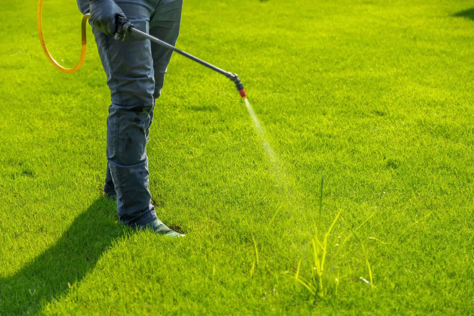 Weed Control Services Cornwall