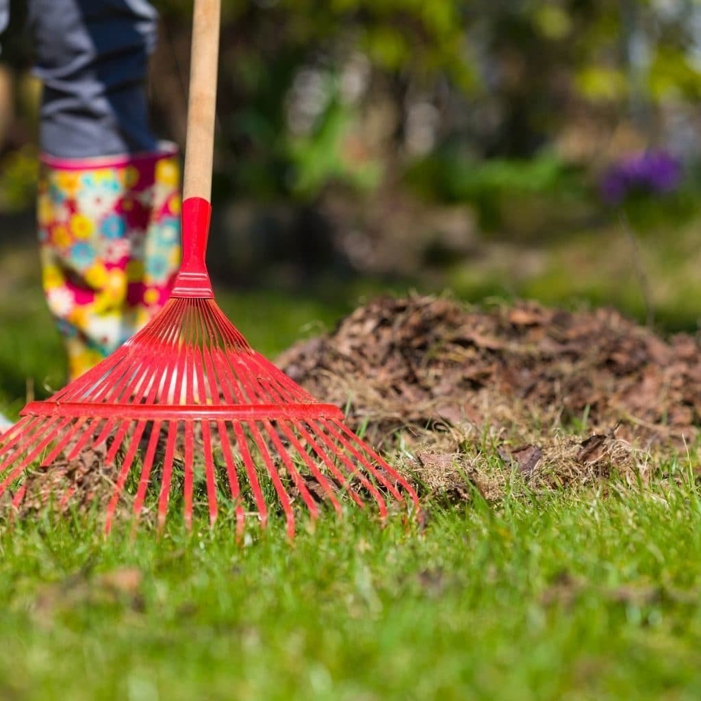 Seasonal Garden Clean Up Cornwall