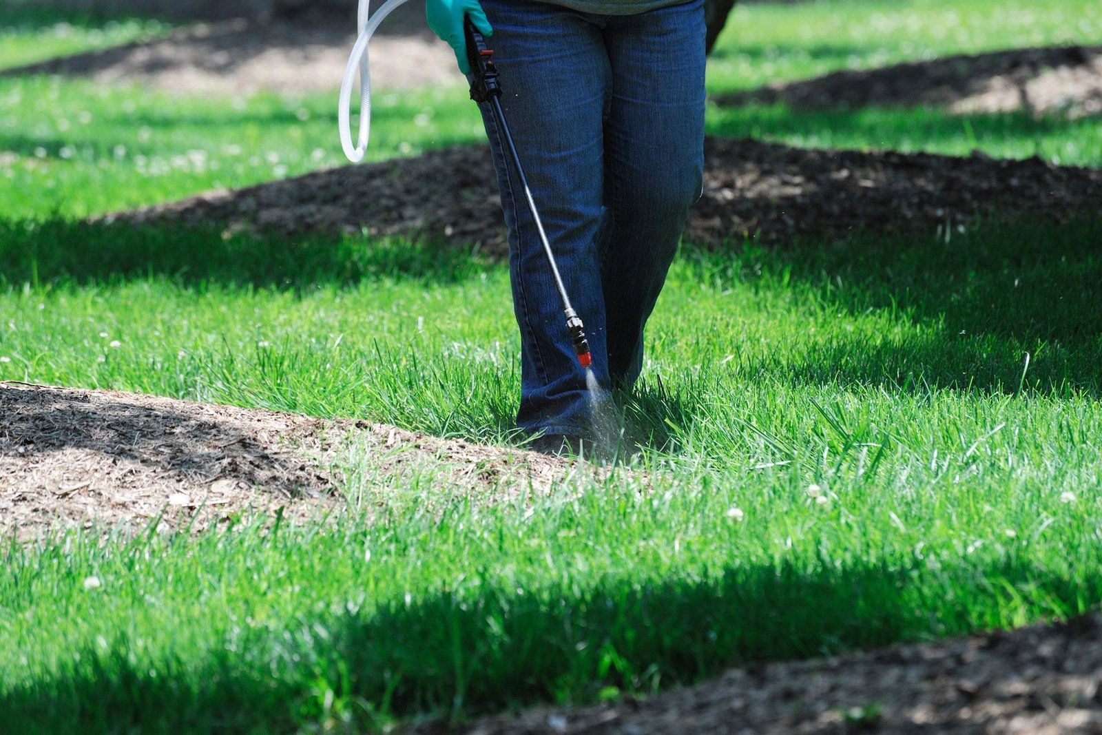 Weed Control Services Cornwall