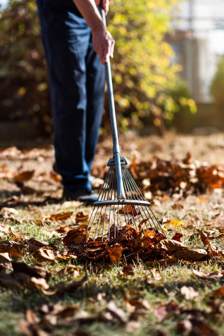 Garden Tidy Up Cornwall