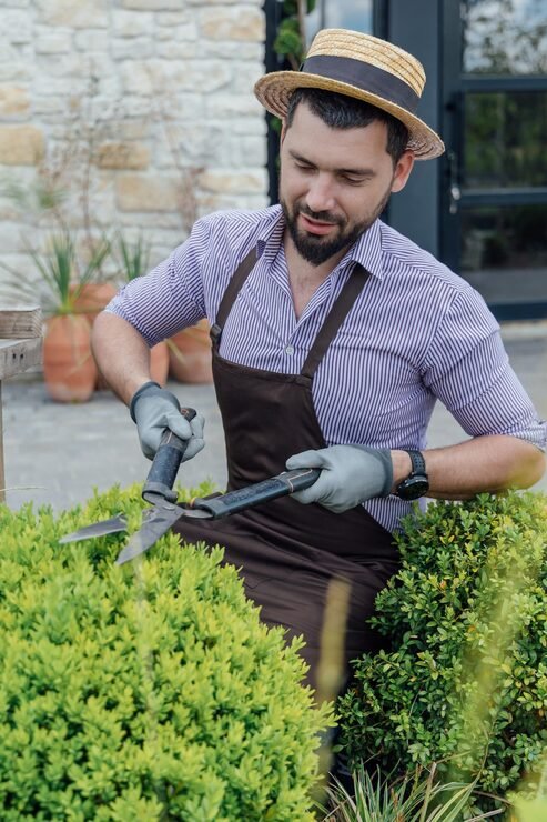 Seasonal Garden Maintenance Cornwall