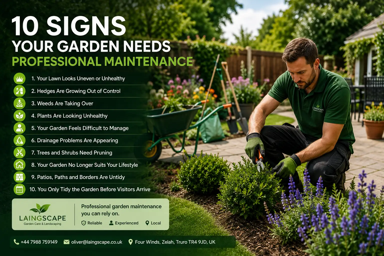 10 Signs Your Garden Needs Professional Maintenance